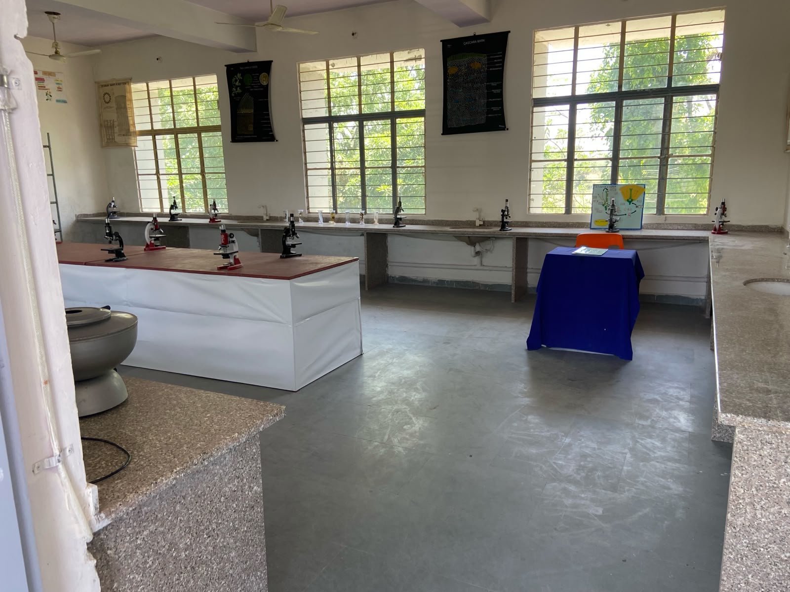 BOTANY LAB